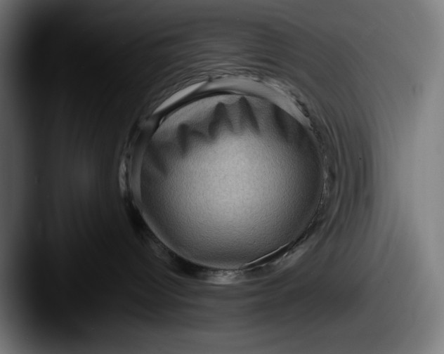 X0000087590096200705181227