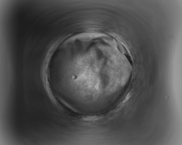 X0000087590097200705181226