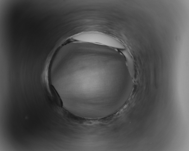 X0000087590099200705181226