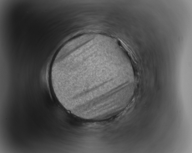 X0000087590100200705181226