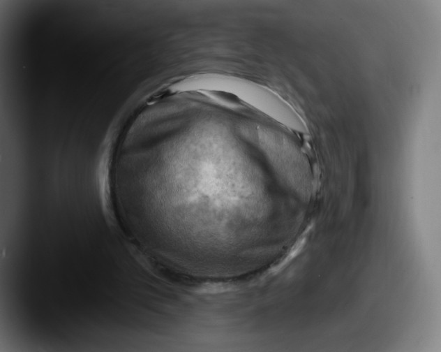 X0000087590101200705181226