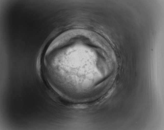 X0000087590102200705181226