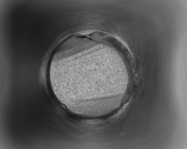 X0000087590103200705181226