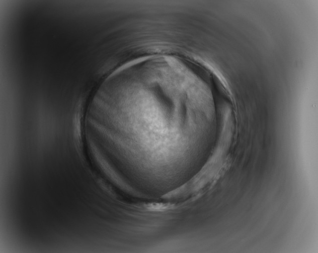 X0000087590105200705181226