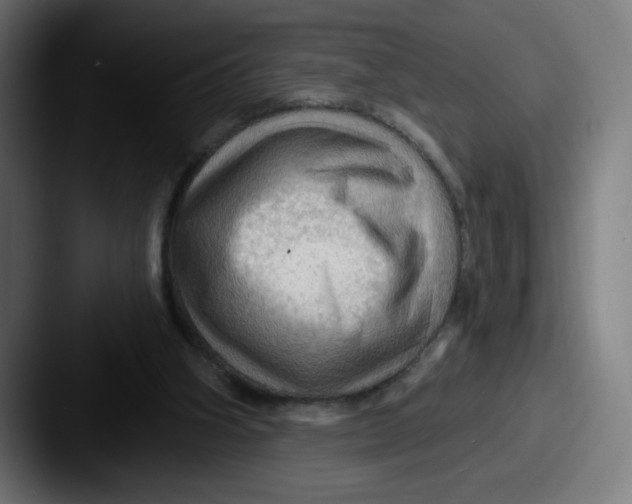 X0000087590106200705181226