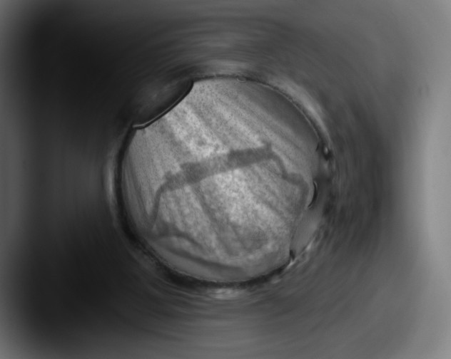 X0000087590107200705181226