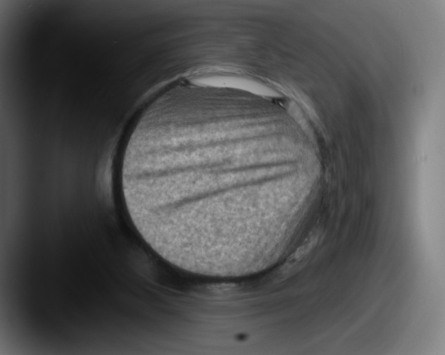 X0000087590108200705181226