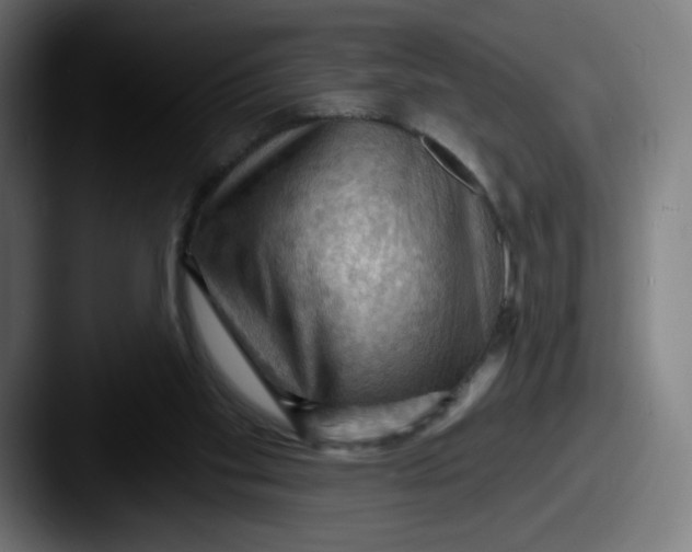 X0000087590109200705181226