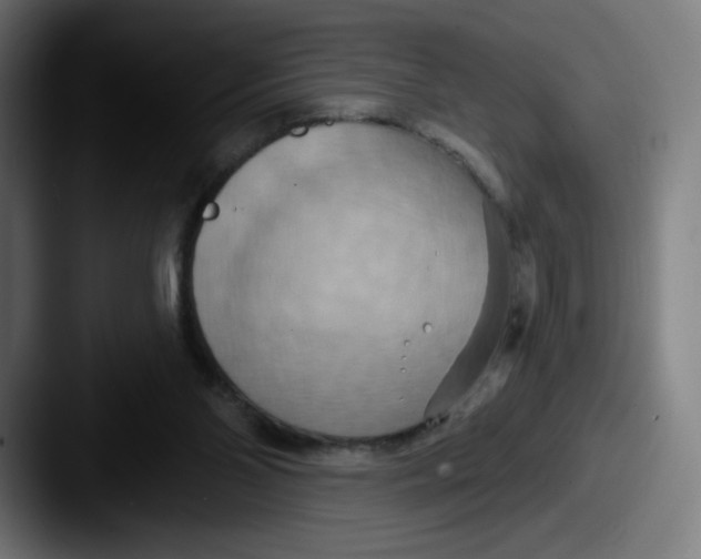 X0000087590110200705181226