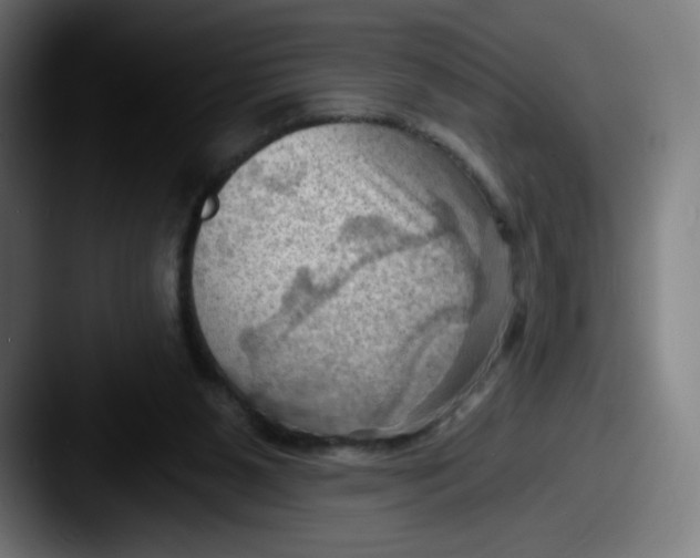 X0000087590111200705181226