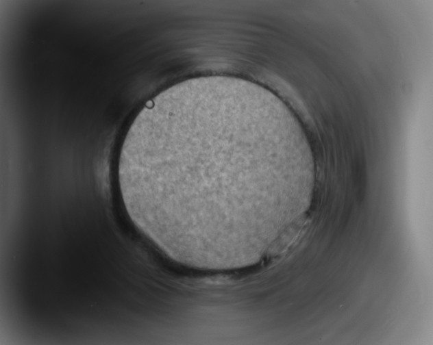 X0000087590112200705181226