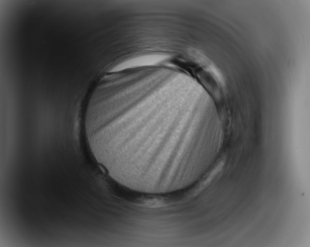 X0000087590113200705181226