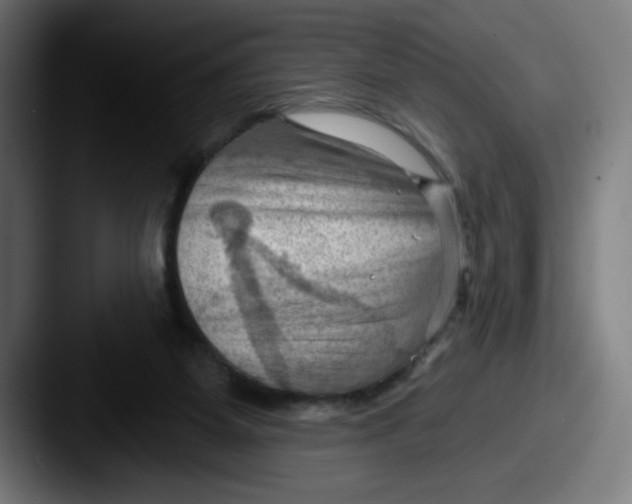 X0000087590115200705181226