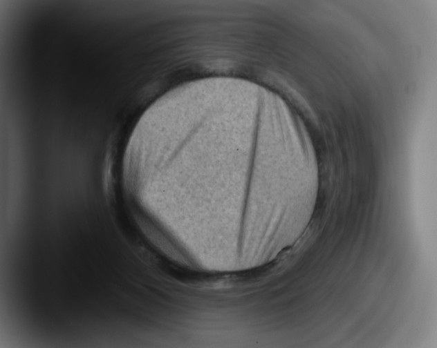 X0000087590116200705181226