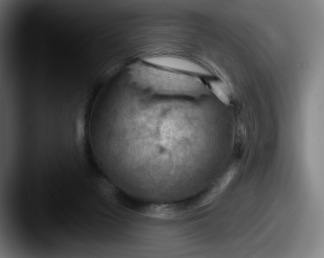 X0000087590117200705181226