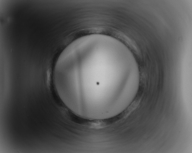 X0000087590118200705181226