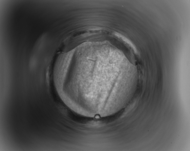 X0000087590119200705181226