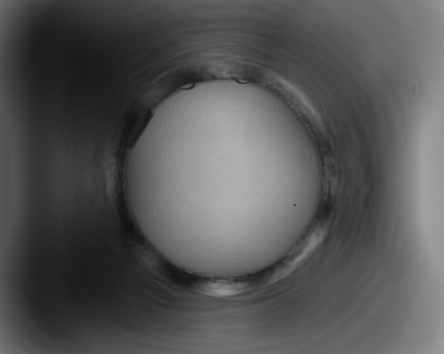 X0000087590121200705181226