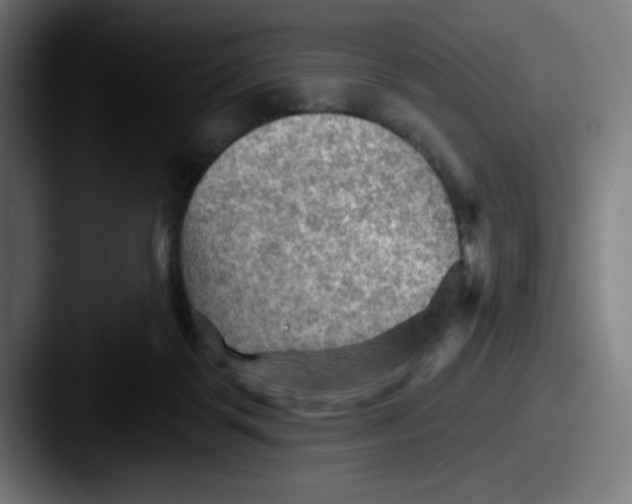 X0000087590123200705181226