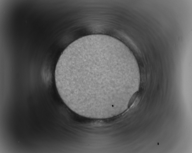 X0000087590124200705181226