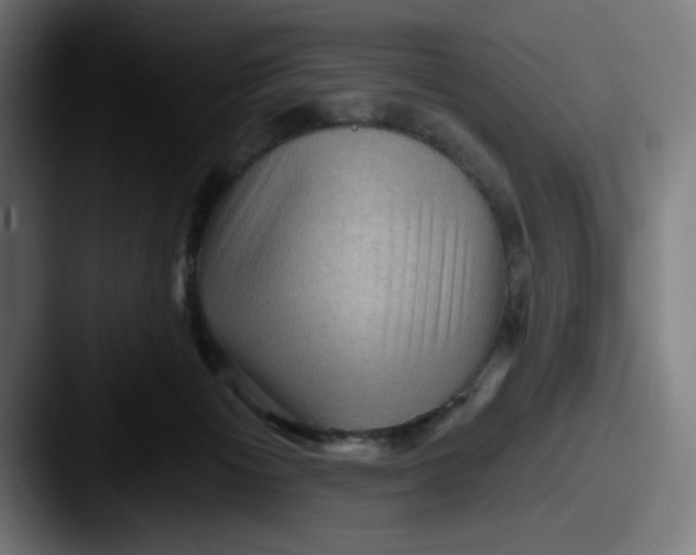 X0000087590125200705181226