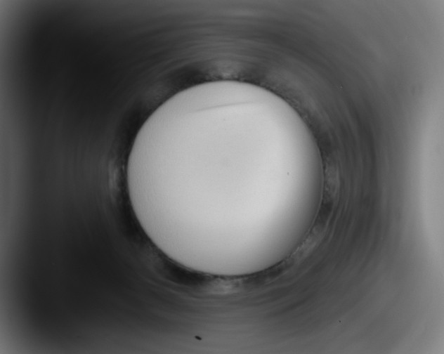 X0000087590126200705181226