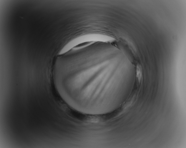 X0000087590127200705181226