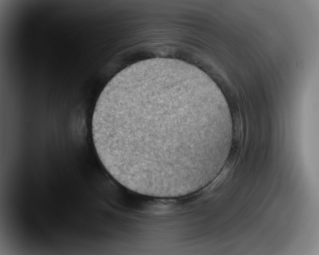 X0000087590128200705181226