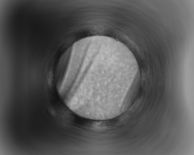 X0000087590130200705181226