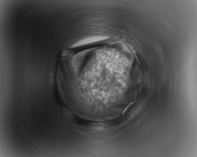 X0000087590131200705181226