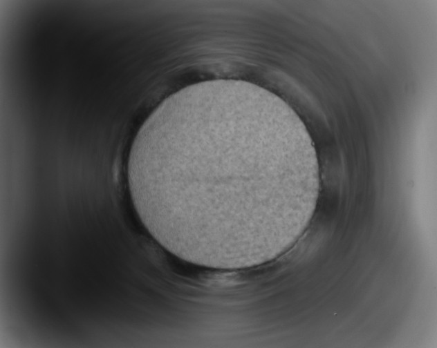 X0000087590132200705181226