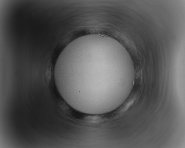 X0000087590133200705181226