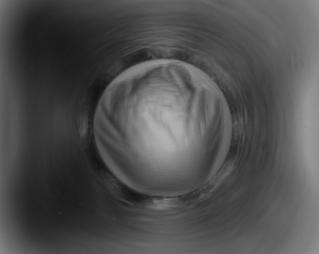 X0000087590134200705181226