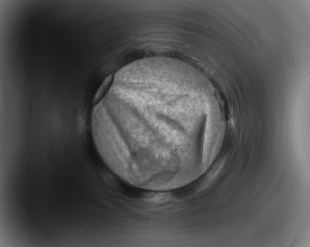 X0000087590135200705181226