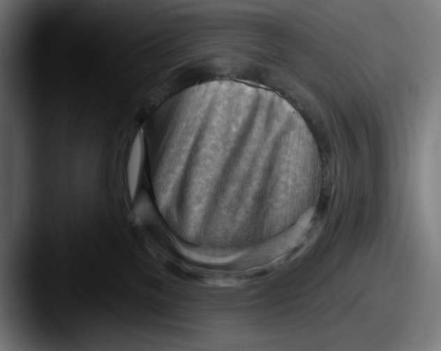 X0000087590137200705181226