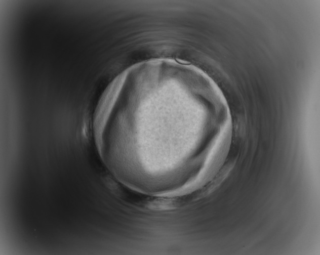 X0000087590138200705181226