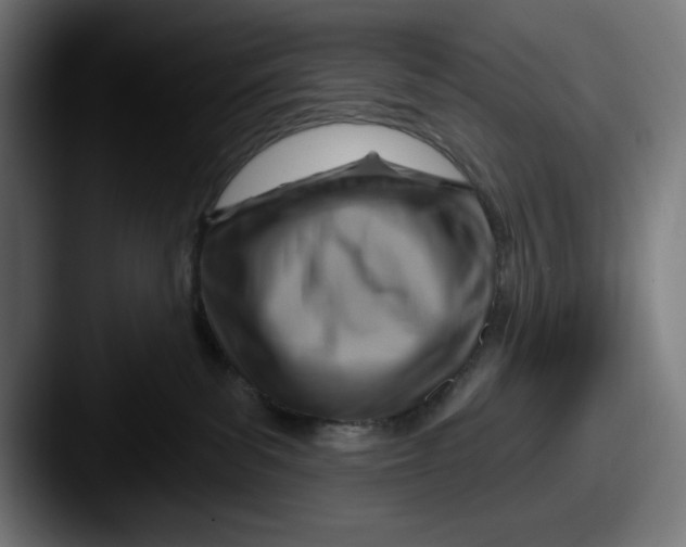 X0000087590139200705181226