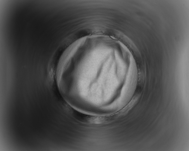 X0000087590142200705181226