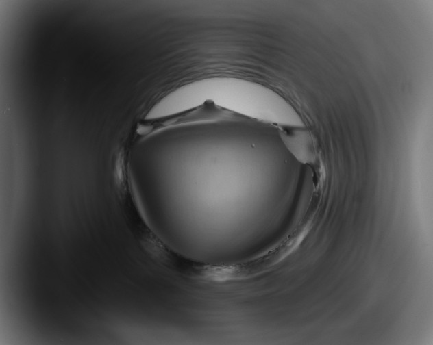 X0000087590143200705181226