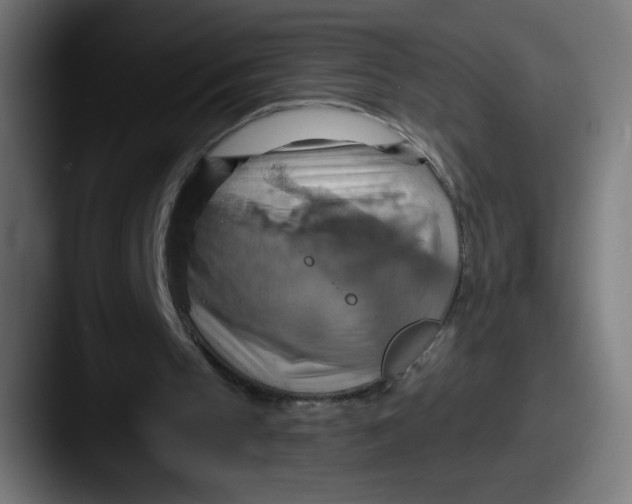 X0000087590145200705181225