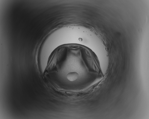 X0000087590146200705181225