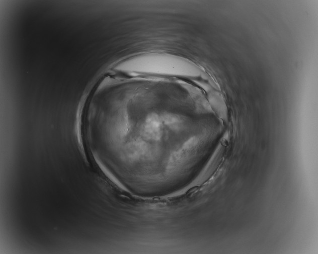 X0000087590147200705181225