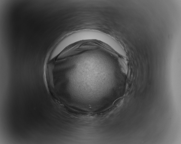 X0000087590148200705181225