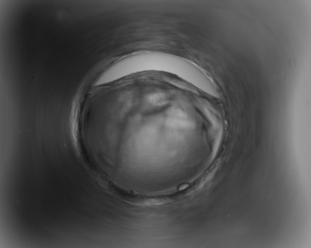 X0000087590149200705181225