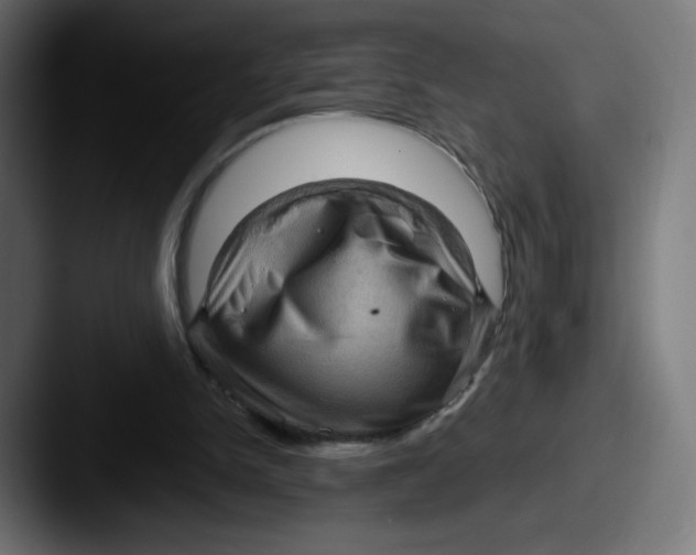 X0000087590150200705181225