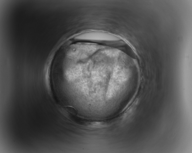 X0000087590151200705181225