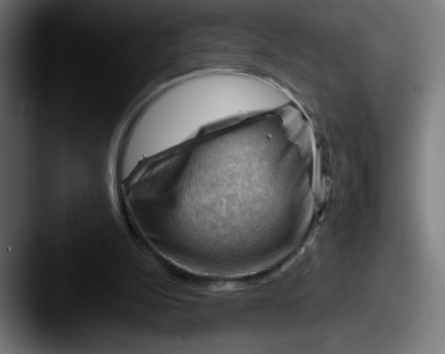 X0000087590152200705181225