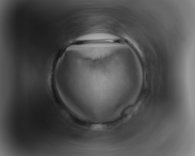 X0000087590153200705181225