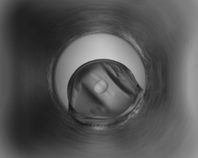 X0000087590154200705181225