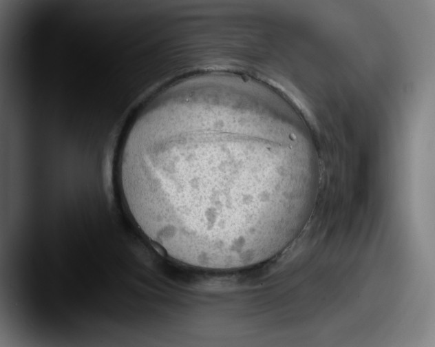 X0000087590155200705181225